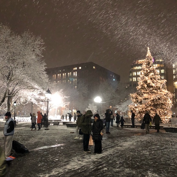 Meet your Posher, Chloe - Picture 1 of 1